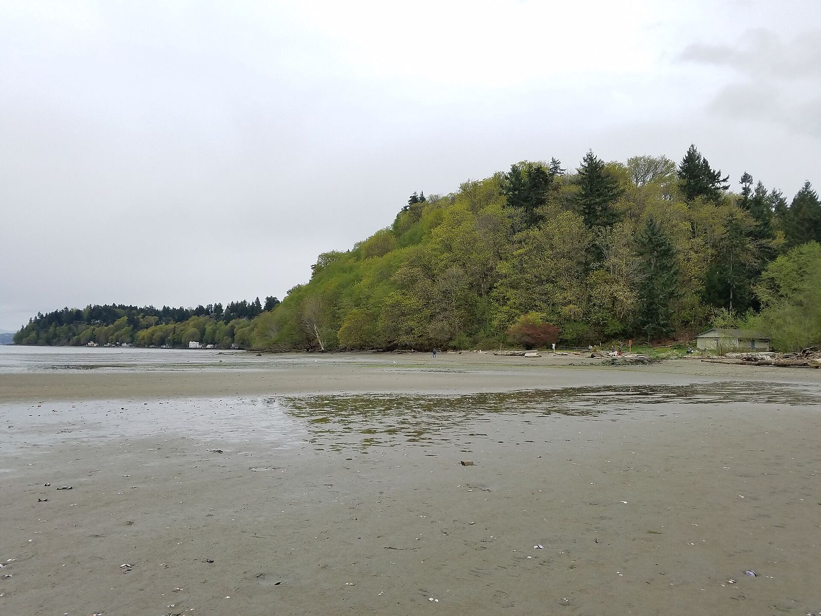 The beach and forested shoreline at Dash Point State Park