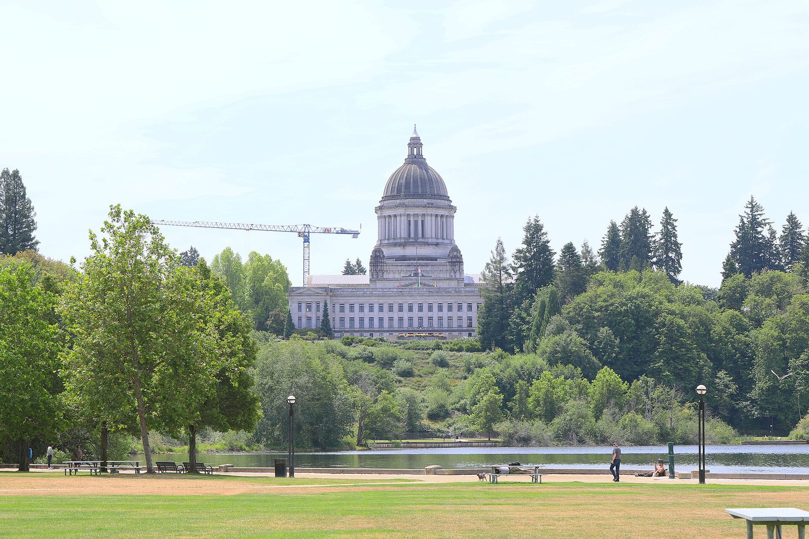 The Washington State Capitol dome above the trees by Capitol Lake
