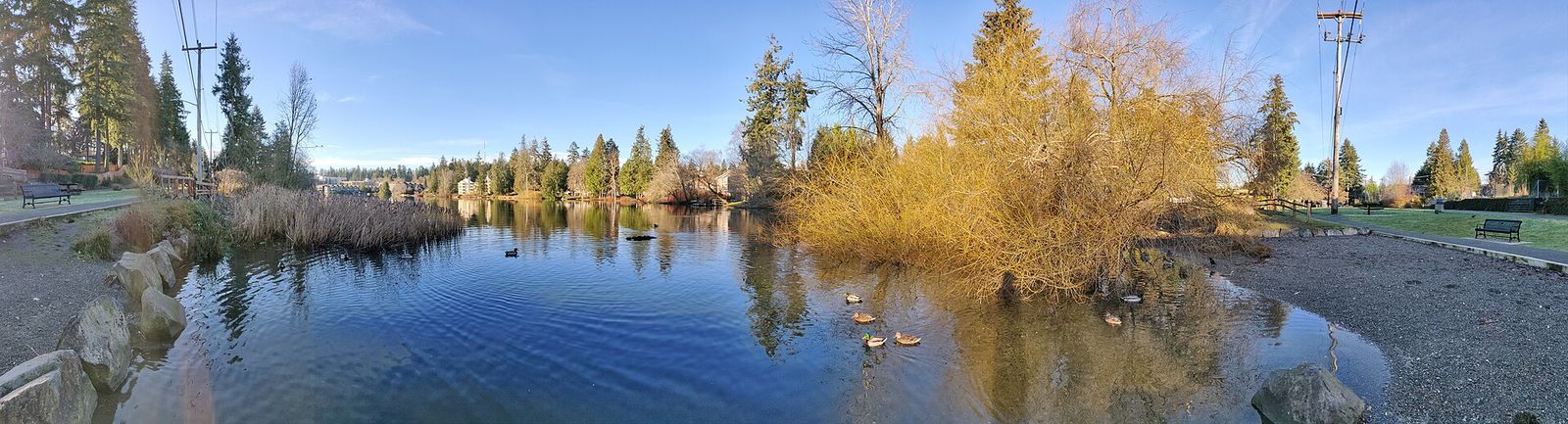 Panorama of Echo Lake in Shoreline with trees along the shore