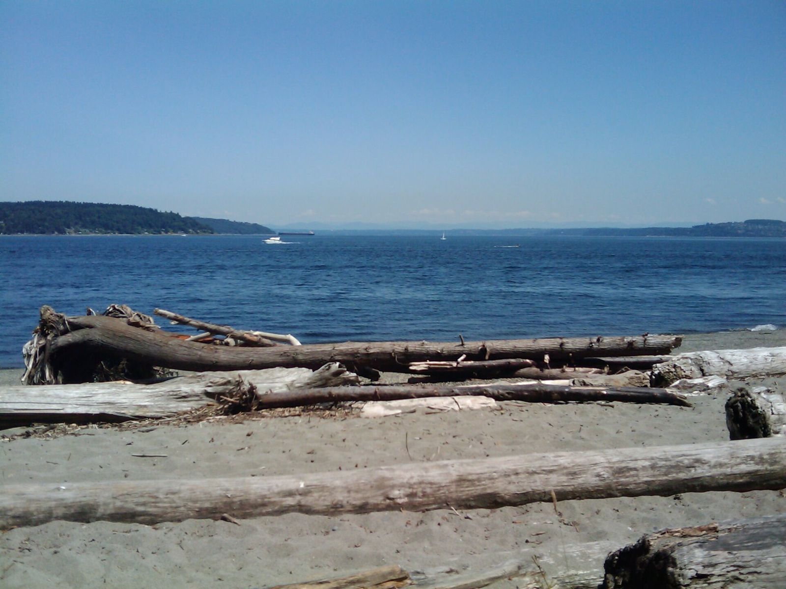 Driftwood on the shore near Owen Beach looking across Dalco Passage